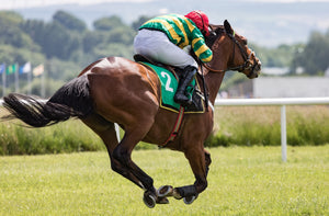 Horses Healthy Running