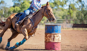 Horse High Performance On Demand