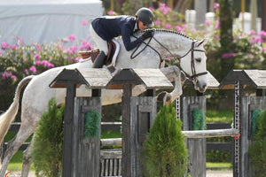 Equestrian Show Jumping Over Obstacle