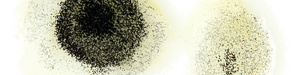 The Impact of FWGE on Porcine Epithelial Cell Line Exposed to Deoxynivalenol and T-2 Mycotoxins