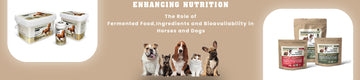 Enhancing Nutrition The Role of Fermented Food, Ingredients and Bioavailability in Horses and Dogs