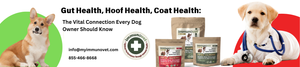 Gut Health, Hoof Health, Coat Health