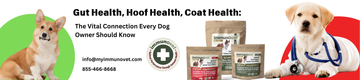 Gut Health, Hoof Health, Coat Health