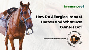 How Do Allergies Impact Horses and What Can Owners Do?