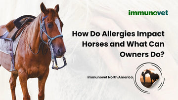 How Do Allergies Impact Horses and What Can Owners Do?