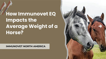 How Immunovet EQ Impacts the Average Weight of a Horse?