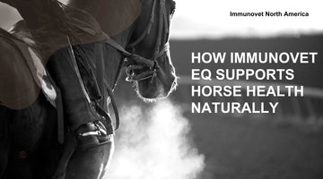 How Immunovet EQ Supports Horse Health Naturally
