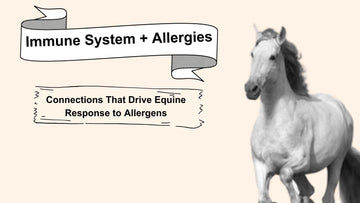 Immune System + Allergies: Connections That Drive Equine Response to Allergens