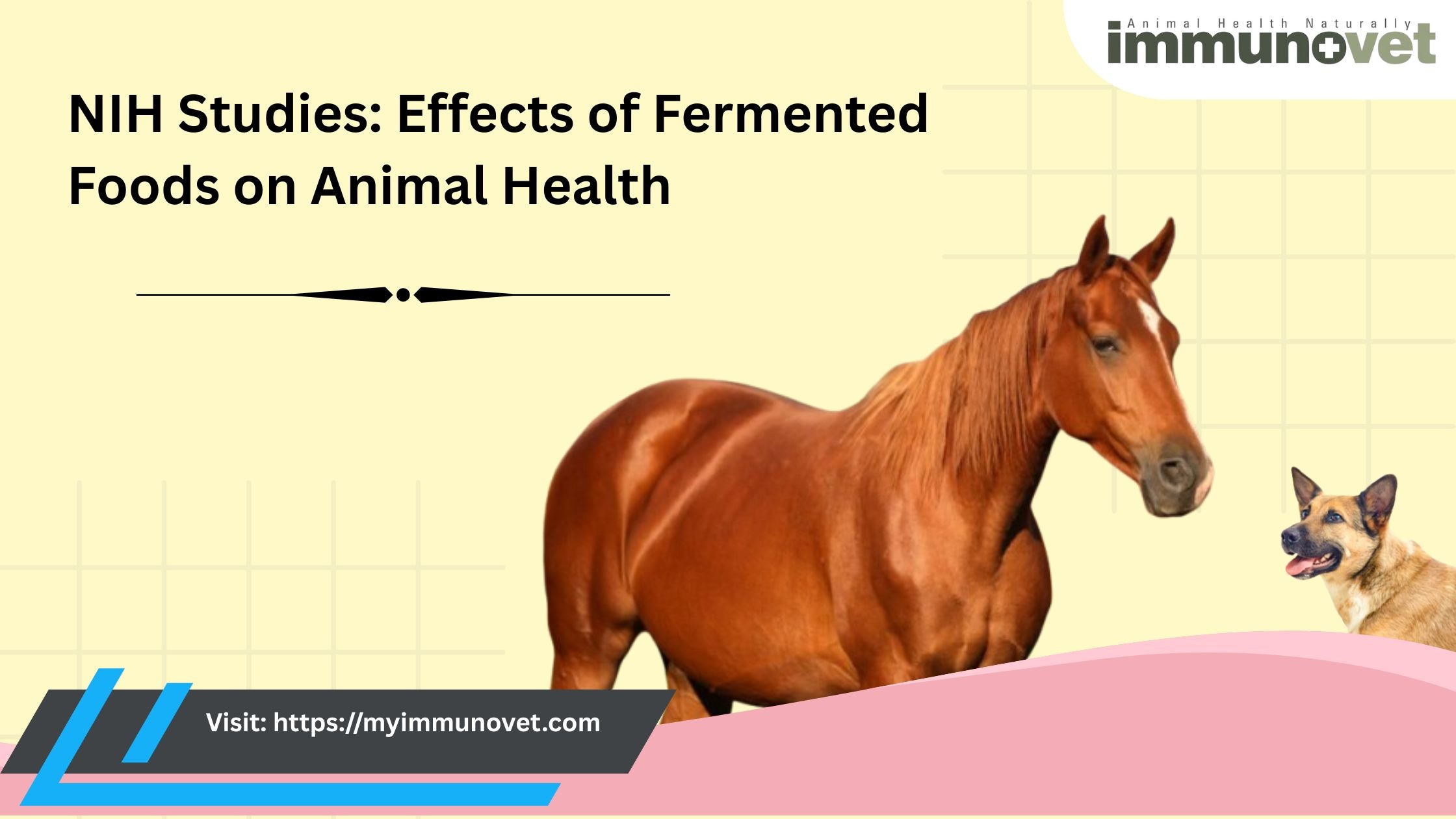 NIH Studies: Effects of Fermented Foods on Animal Health - Immunovet ...