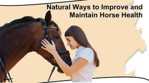 Natural Ways to Improve and Maintain Horse Health