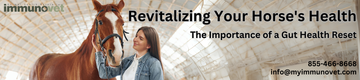 Revitalizing Your Horse's Health