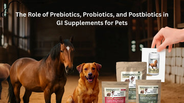 The Role of Prebiotics, Probiotics, and Postbiotics in GI Supplements for Pets