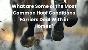 What are Some of the Most Common Hoof Conditions Farriers Deal With in Horses?