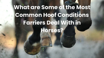 What are Some of the Most Common Hoof Conditions Farriers Deal With in Horses?