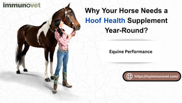 Why Your Horse Needs a Hoof Health Supplement Year-Round?