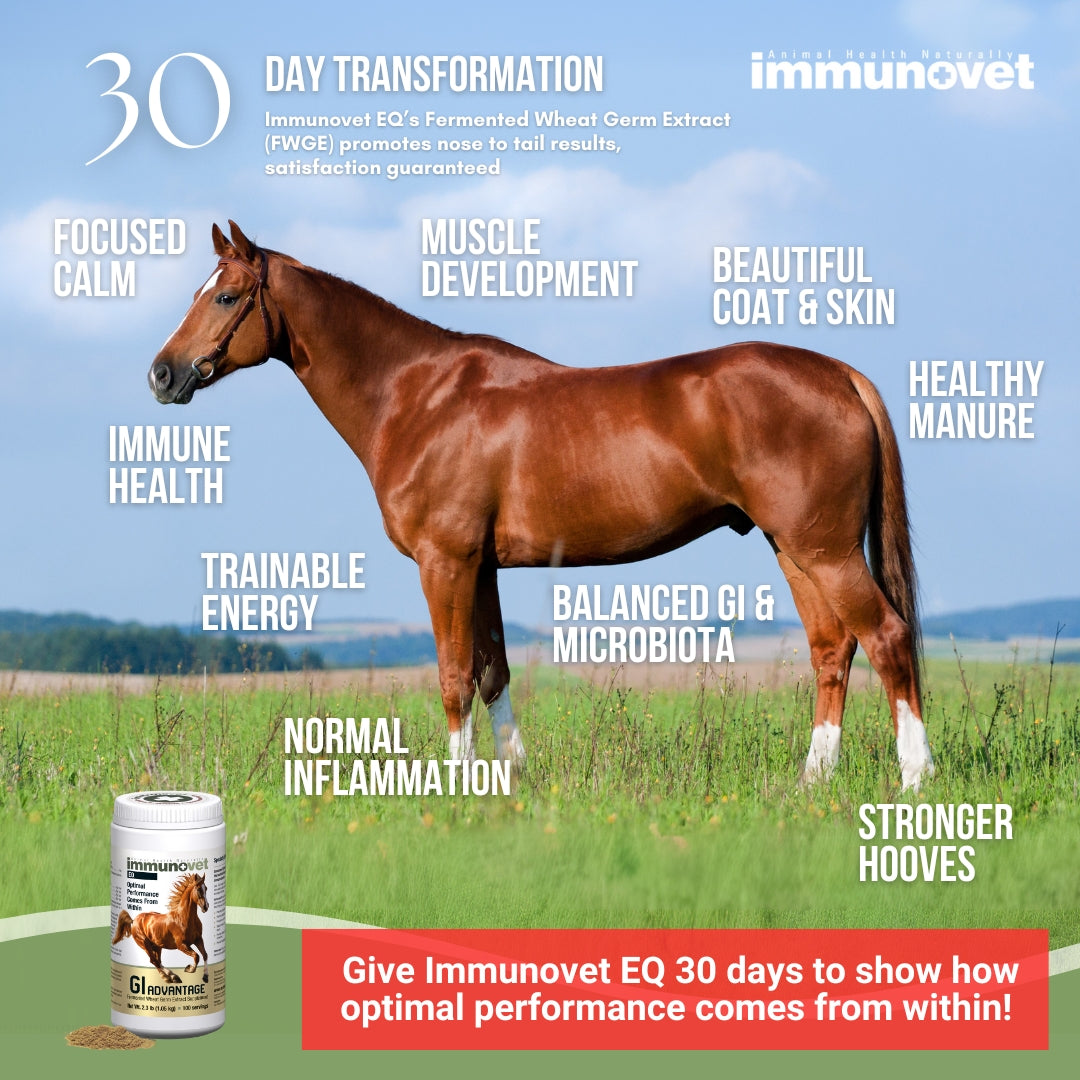 glutathione and histamine intolerance Too much histamine in the body—often called histamine intolerance or mast-cell–driven histamine excess, can affect many systems at once, which is why it's so often misunderstood or misdiagnosed. What is histamine Histamine glutathione and histamine intolerance Too much histamine in the body—often called histamine intolerance or mast-cell–driven histamine excess, can affect many systems at once, which is why it's so often misunderstood or misdiagnosed. What is histamine Histamine