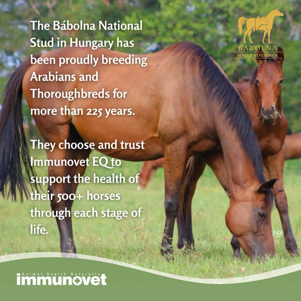 Total Equine GI & Immune Health