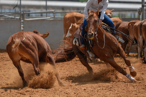 Clinical studies have shown the health benefits of Immunovet's Fermented Wheat Germ Extract on the immune, digestive and metabolic health of Horses, Chickens, Pigs, Cows, and other animals