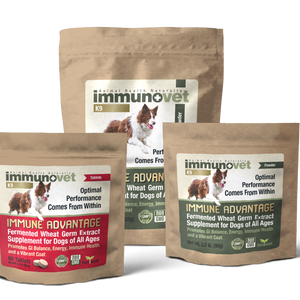 Immune Advantage Fermented Wheat Germ Extract Supplement For Dogs Of All Ages