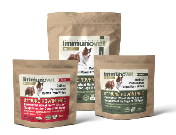 Immune Advantage Fermented Wheat Germ Extract Supplement For Dogs Of All Ages